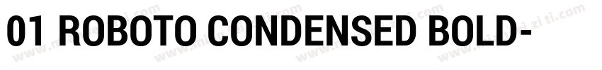 01 ROBOTO CONDENSED BOLD字体转换